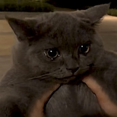 Sad Cat Mix #6