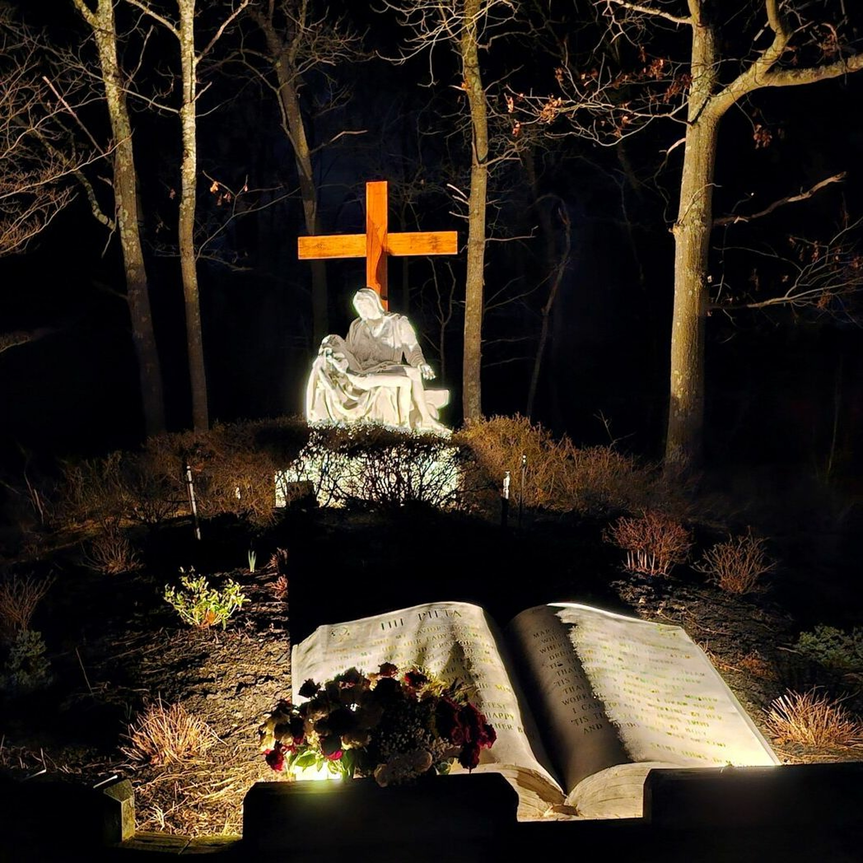 The Holy Rosary: Sorrowful Mysteries: Recorded on the Second Night of the Mission episode artwork