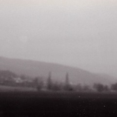 L'envol Du Verbe