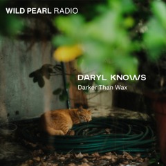 Wild Pearl Radio - Daryl Knows (Darker Than Wax)