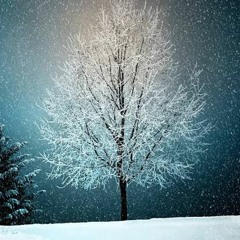 雪の華／中島美嘉(cover)