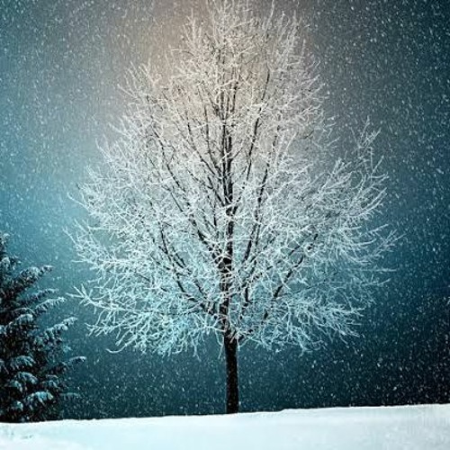 雪の華／中島美嘉(cover)