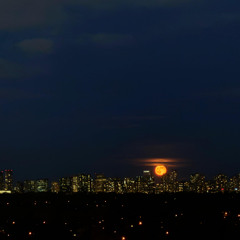 do you think about me? (Rework)