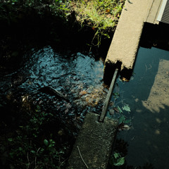 Log_20250804（demo）