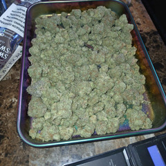 Im Getting Concerned