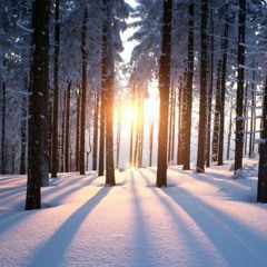 Winter (cover, original by The Sound)