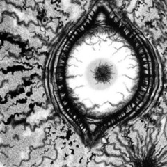 Ardkore Collection (12/08/2025) RADIO ALHARA - راديو الحارة