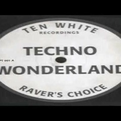 Ravers Choice Techno Wonderland HD True Audio 320kbps