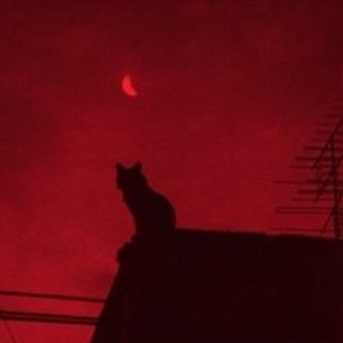 джуга - сейд