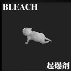 Bleach - Shikai no Haba.mp3