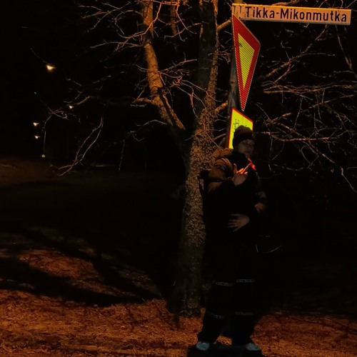 Torvitykki