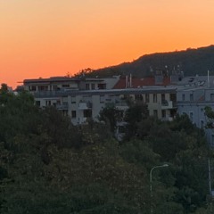 No Brains, Just Dragons