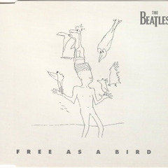 Free As A Bird