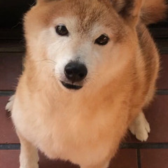 Waiting for the marching band from the 5th dimension2510