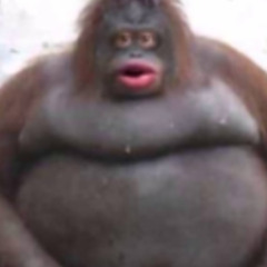 Pingu (feat. kettunen)