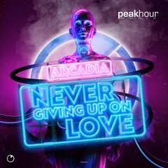 Giving Up On Love (Radio Edit)