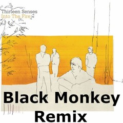 Thirteen Senses and Black Monkey - Into The Fire  (Black Monkey Remix)