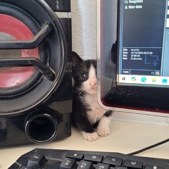 DJ DREIK - E DAÍ RITMADA (BIG RUSH)