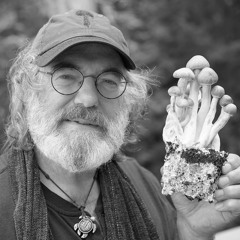Paul Stamets: On Psilocybin Mushrooms and the Mycology of Consciousness