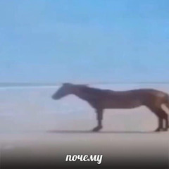 НЕКИЙ ПАРЕНЬ - ПОЧЕМУ