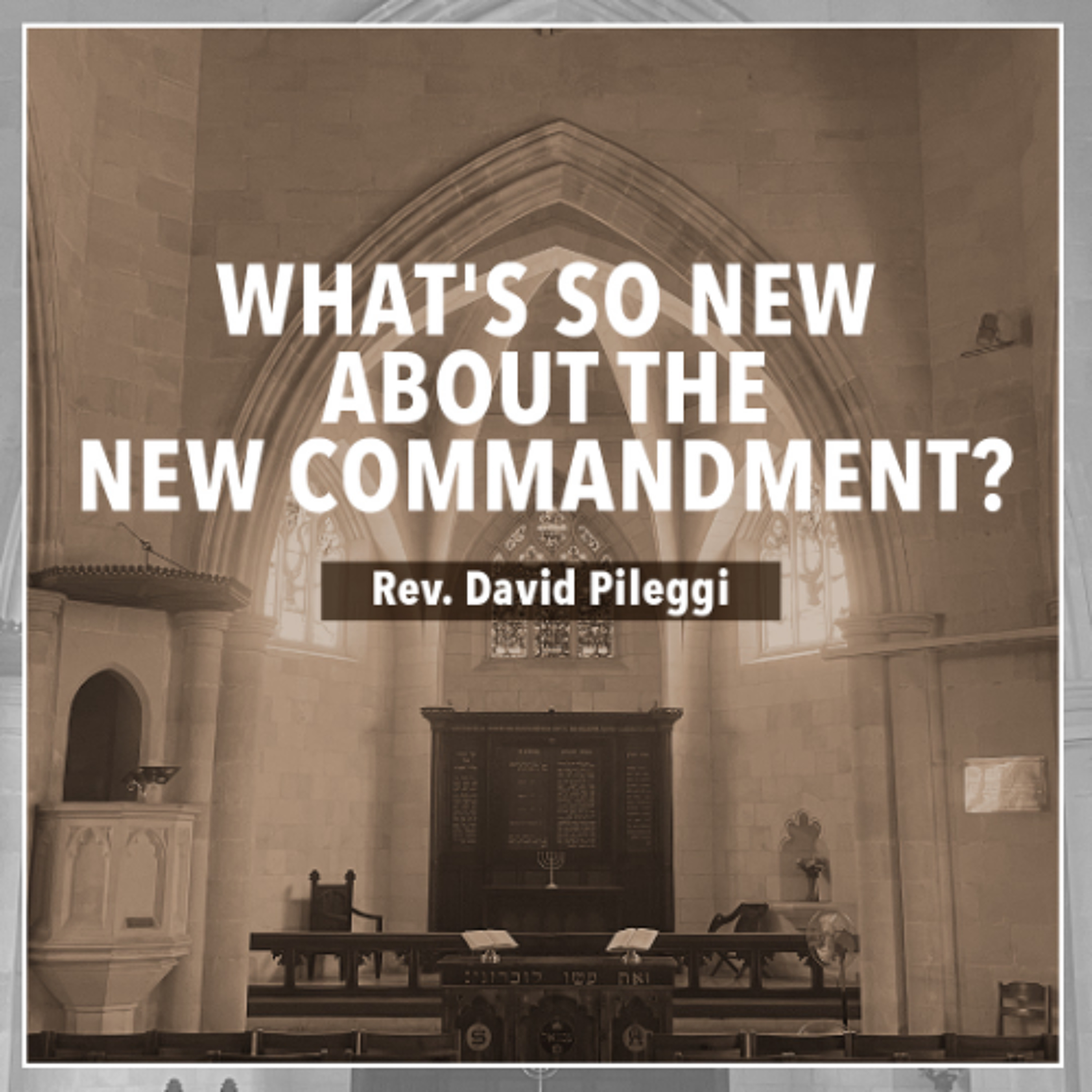 What's So New about the New Commandment | Rev. David Pileggi episode artwork
