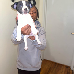 RAY PESOS x LIL TURBYO X SPAZZOUT - HIGH SCHOOL