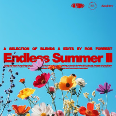 ENDLESS SUMMER II - HIP-HOP / RNB / AFROBEATS / DANCEHALL / LATIN / BAILE FUNK / JERSEY CLUB