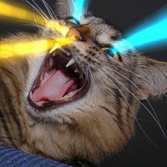 BASS SLUT (𝙏𝙚𝙆𝙆𝙞𝙩 𝙁𝙍𝙀𝙉𝘾𝙃𝘾𝙊𝙍𝙀 𝙍𝙀𝙈𝙄𝙓)