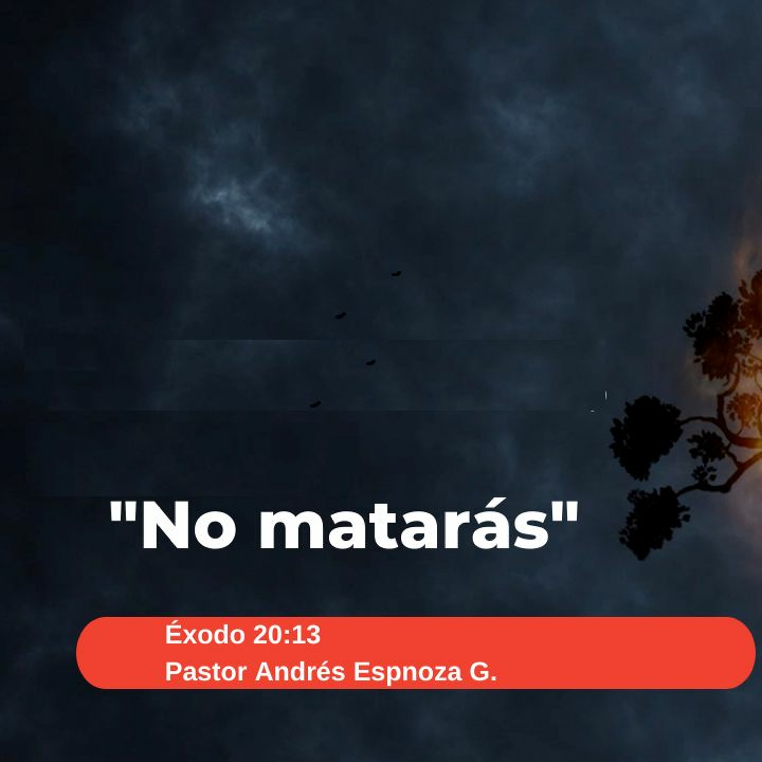 No Matarás episode artwork