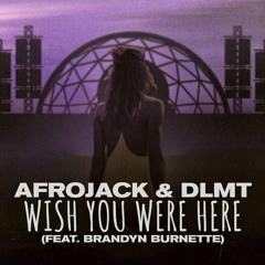 Afrojack & DLMT FT. Brandyn Burnette-Wish You Were Here(lavalamp remix)