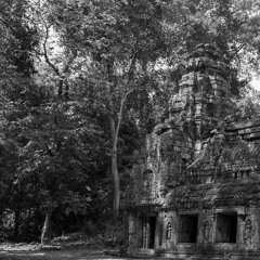 The Forest's Temple_Full