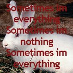 Sometimes im everything sometimes im nothing
