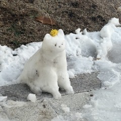 아쉽잖아요