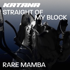 Rare Mamba - Straight Of My Block EP [KTA024]