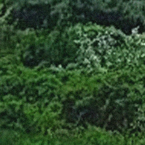 lovue kit 5 promo (full version) (summer 3)