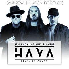 Steve Aoki & Timmy Trumpet Ft. Dr Phunk - Hava (Andrew & Lucian Bootleg)