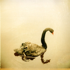 New Drink for the Old Drunk