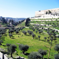 On The Mount Of Olives