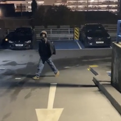 hypocrite (mag x cranes)