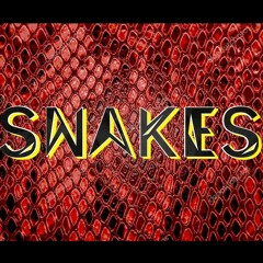 Snakes-D#m-162BPM-Prod. By Trizz Davinci x TheProducerKit_7.mp3