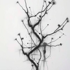 Facu SB - Brain Wheeze (Mellon Place Records)