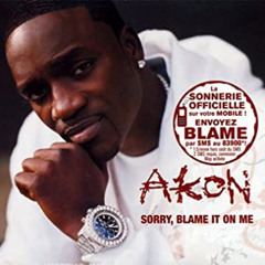 sorry blame it on me (Akon)