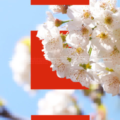 Kelzy - Stay With Me (Summer Love)