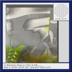 In Between Days - 11 w/ NM_____ & Ofra