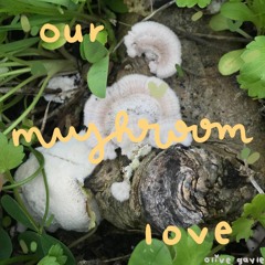 our mushroom love