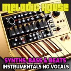 Synths Bass Beats Instrumental Melodic House Artist Tracks