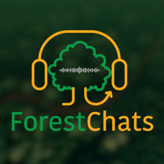 Episode 3: Understanding forest practitioners