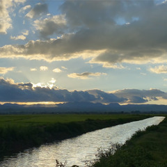 ထူးအိမ်သင် - နွေဦးကံ့ကော်