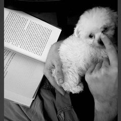 VOVQA - моя душа померла