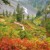 Artwork for Beautiful Music (FREE DOWNLOAD)